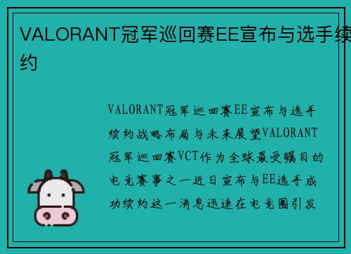 VALORANT冠军巡回赛EE宣布与选手续约